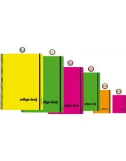BLOCCO SPIRALATO COLLEGE BOOK A4 5MM 50FF