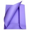 CARTELLINA 3 LEMBI MEMOTAK 200GR VIOLA 25PZ