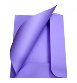 CARTELLINA 3 LEMBI MEMOTAK 200GR VIOLA 25PZ