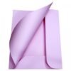 CARTELLINA 3 LEMBI MEMOTAK 200GR ROSA 25PZ