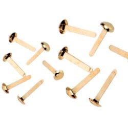 FERMACAMPIONI N5 BLISTER 100PZ ARTIGLIO