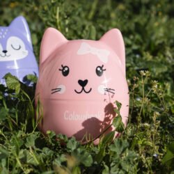 HAPPY BOX CANCELLOTTE COLOURBOOK GATTO COL25905