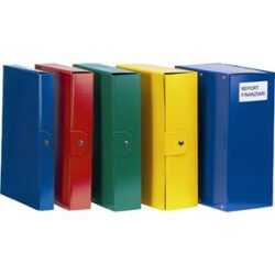 PORTAPROGETTI ESSELTE DS 10 DELSO ORDER 25X35 VERDE 39030180